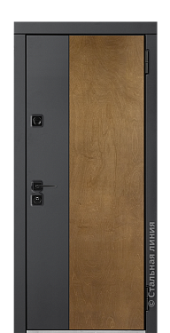Входная дверь Гарда (вид снаружи) - купить в Саратове